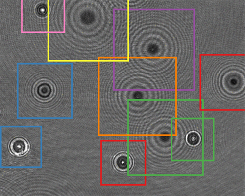 CATCH: Characterizing and tracking colloids holographically using deep neural networks