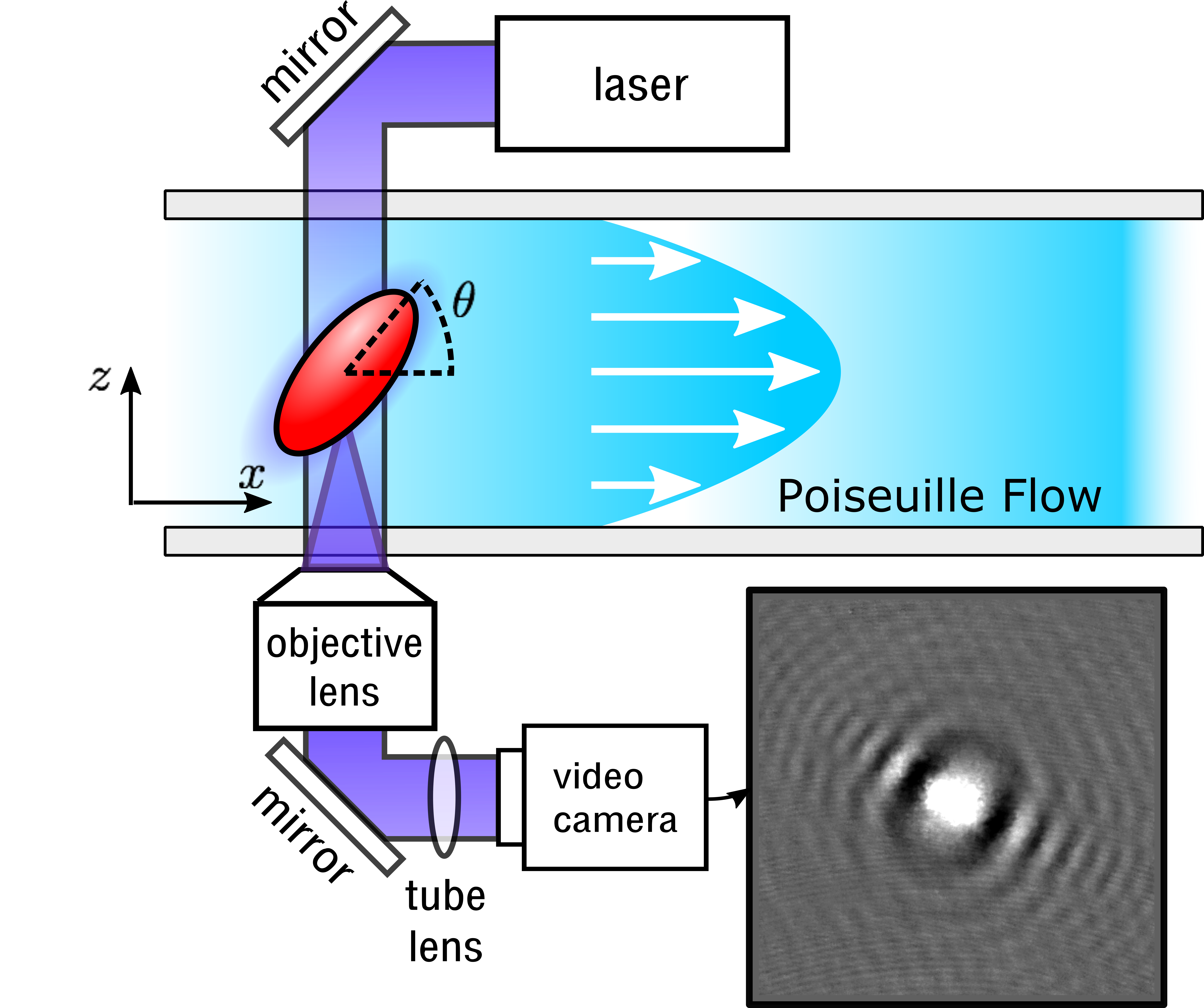 Anomalous tumbling of colloidal ellipsoids in Poiseuille flows