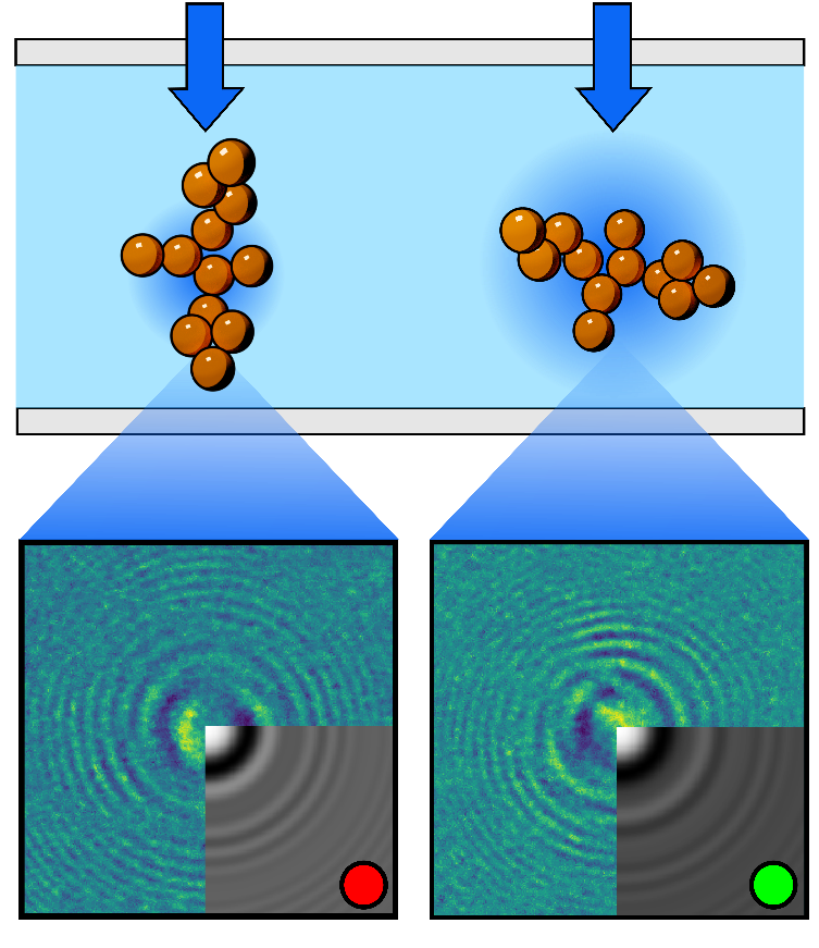 Multi-angle holographic characterization of individual fractal aggregates
