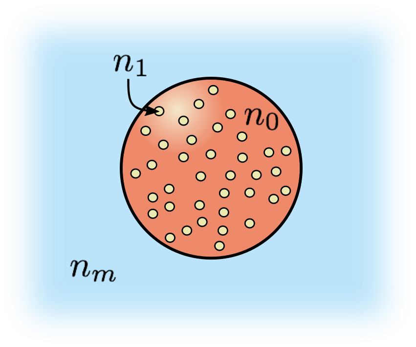 Holographic analysis of colloidal spheres sedimenting in horizontal slit pores